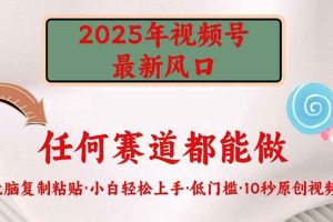 （14453期）2025年视频号新风口，低门槛只需要无脑执行