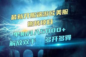 （14516期）全网热门游戏欧美服端游搬砖，最新开服，项目红利期，单机月入5000+